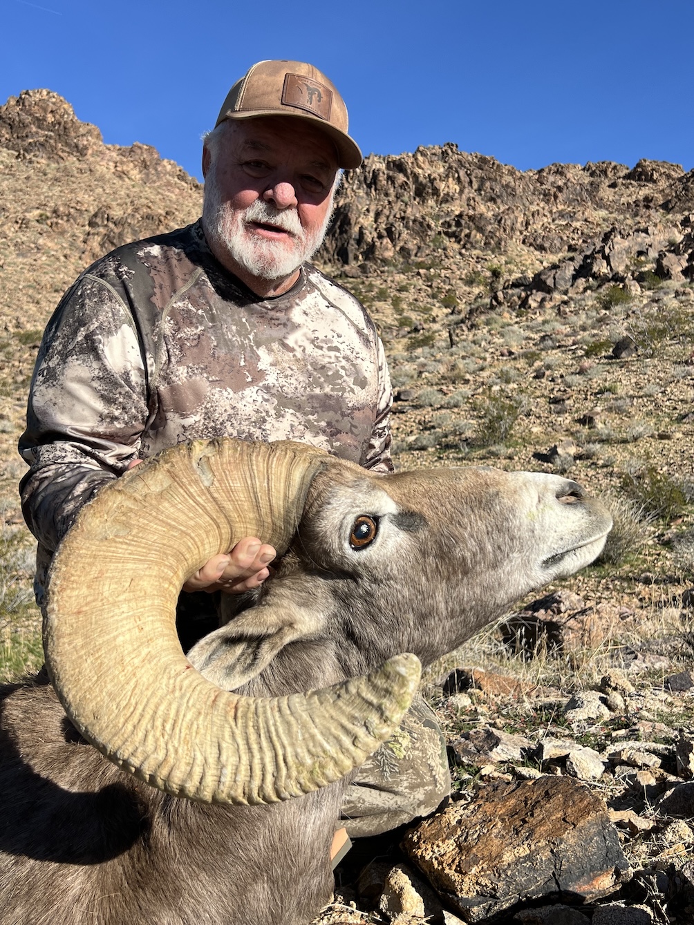 Alt Text is good for SEO